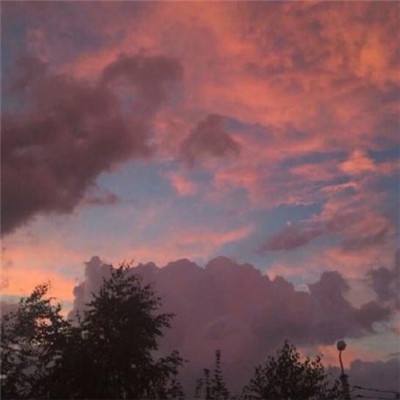 欢迎使用乐鱼App