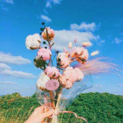 贝博app代言艾弗森app下载